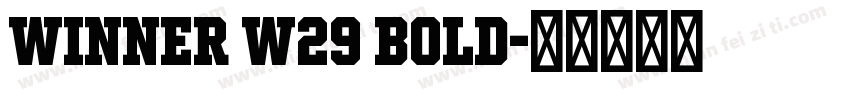 Winner W29 Bold字体转换